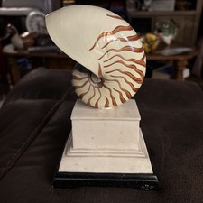 C2c designs nautilus for sale  Sparta
