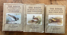British birds british for sale  FARNHAM