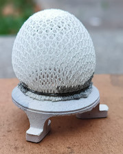 Stück nova komet gebraucht kaufen  Hamm