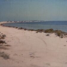 Polaroid vintage mare usato  Spedire a Italy