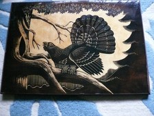 Unusual vintage polish for sale  NORTHWICH