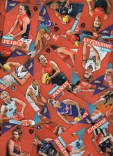 Usado, Cartões base 2018 AFLW FOOTY STARS - ESCOLHA NO LOTE DE MENU EM MASSA E COMPLETE SEU CONJUNTO comprar usado  Enviando para Brazil