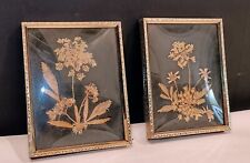 2 flower pictures wall decor for sale 2 flower pictures wall decor for sale South Saint Paul