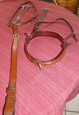 Training cavesson training for sale  Coquille