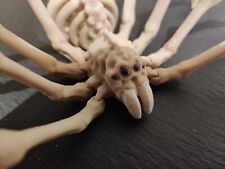 80mm articulated bone for sale  BRIDGEND