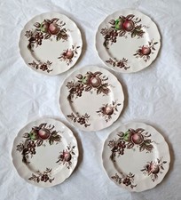 vintage harvest fruit 6 plate for sale vintage harvest fruit 6 plate for sale Chicago