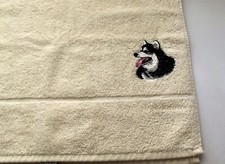 Alaskan malamute dog for sale  HOLYHEAD