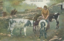 Pc48312 foster mother. for sale  MAIDSTONE