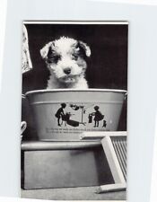 Postcard cute dog for sale  Stevens Point