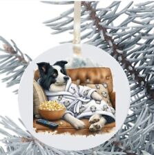 Border collie cane usato  Spedire a Italy