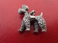 Ancien pendentif caniche d'occasion  Chantelle