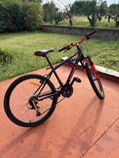 Bici montain bike usato  Bologna