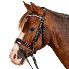 Waldhausen schwarz pony gebraucht kaufen  Siegen