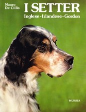 Setter inglese irlandese usato  Sesto San Giovanni