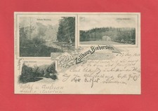 Litho gruss vom gebraucht kaufen  Dresden