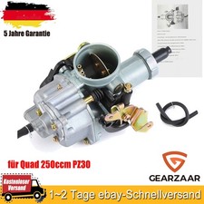 Vergaser 30mm jinling gebraucht kaufen  Langenlonsheim