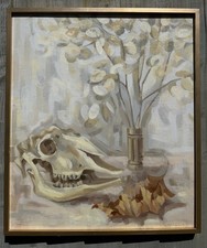Still life skull for sale  HELSTON