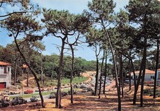 Arcachon parc pereire d'occasion  Expédié en Belgium