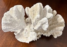 Vintage natural genuine for sale  Buckeye