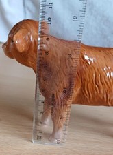 beswick cattle for sale beswick cattle for sale VENTNOR