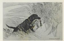 Labrador retriever print for sale  Tampa