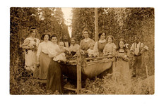 Worcestershire. hop picking. for sale  YORK