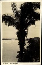 Ak Santos Brasilien, Ilha Porchat, Blick auf Palme - 2923388 comprar usado  Enviando para Brazil