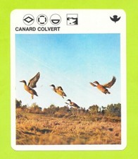 Fiche livre paris d'occasion  Nancy-
