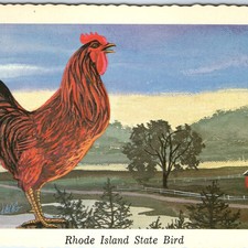 1968 rhode island for sale  Evansdale