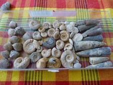 Lot 100 petits d'occasion  Saint-Aubin-sur-Mer
