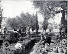 Die gärten von usato  Spedire a Italy