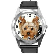 York yorkie yorkshire for sale  MERTHYR TYDFIL