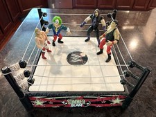 Wwe summer slam for sale  Mccordsville