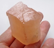241ct natural orange for sale  Walnut