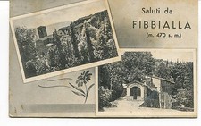 1956 saluti fibbialla usato  Italia