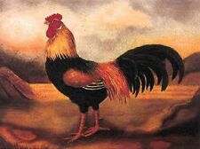 English native animals for sale  STOURPORT-ON-SEVERN