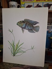 Vintage old aquarium for sale  Phoenix