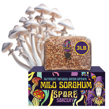 3lb milo sorghum for sale  Scottsdale