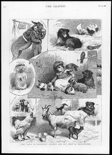 1886 antique print for sale  ASHFORD