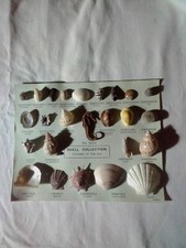 Shell collection wonders d'occasion  Nîmes