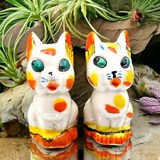 Calico cats salt for sale  Tempe