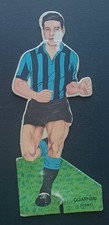 Calcio cremifrutto althea usato  Villanova Monferrato
