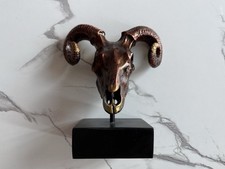 Goat ram skull for sale  Arlington