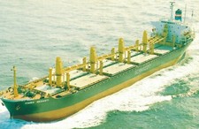 Nautica rimba meranti d'occasion  Expédié en Belgium