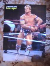 Poster wrestling wwf gebraucht kaufen  Niesky