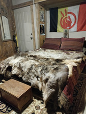 Beautiful tanned elk for sale  Hotchkiss