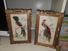 Framed vintage feather for sale  Hico