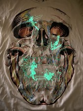 Glow dark skull for sale  Memphis