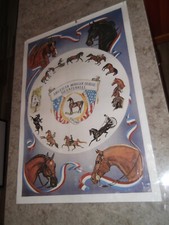 Rare vintage equestrian for sale  Laramie