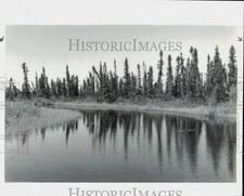 1992 press photo for sale  Memphis